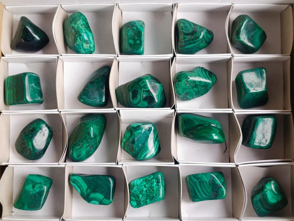 Polished Flower Banded Malachite Free Forms x 20 From Congo - Toprock Gemstones and Minerals 