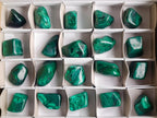 Polished Flower Banded Malachite Free Forms x 20 From Congo - Toprock Gemstones and Minerals 