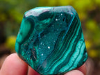Polished Flower Banded Malachite Free Forms x 20 From Congo - Toprock Gemstones and Minerals 