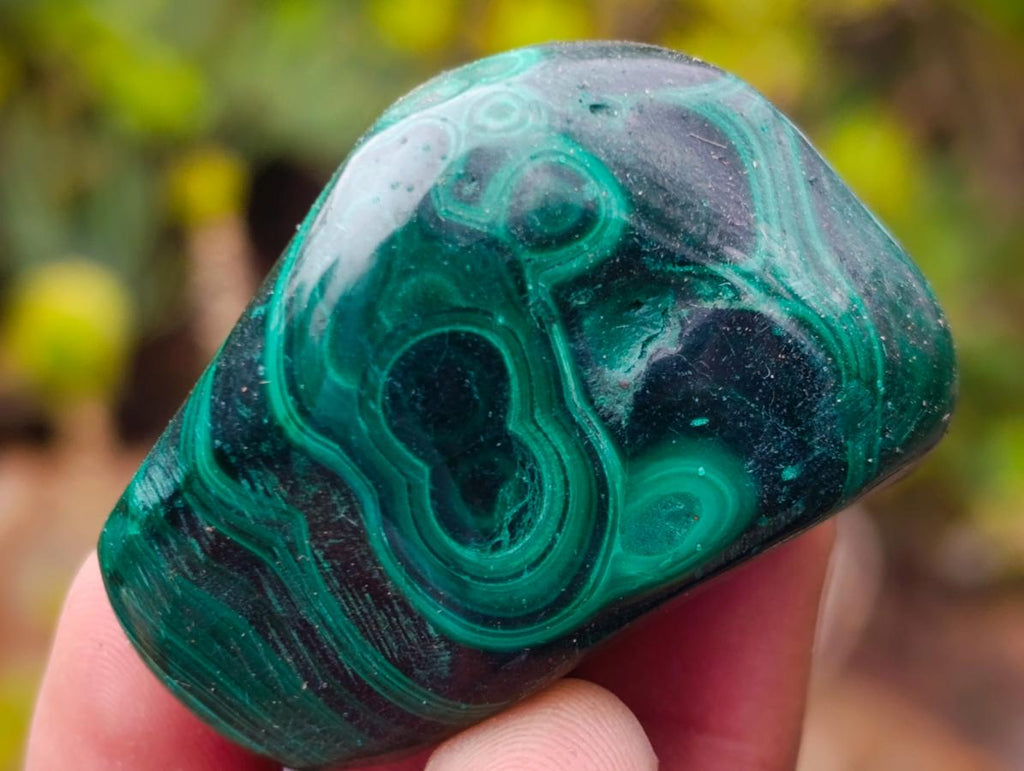 Polished Flower Banded Malachite Free Forms x 20 From Congo - Toprock Gemstones and Minerals 