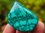 Polished Flower Banded Malachite Free Forms x 20 From Congo - Toprock Gemstones and Minerals 