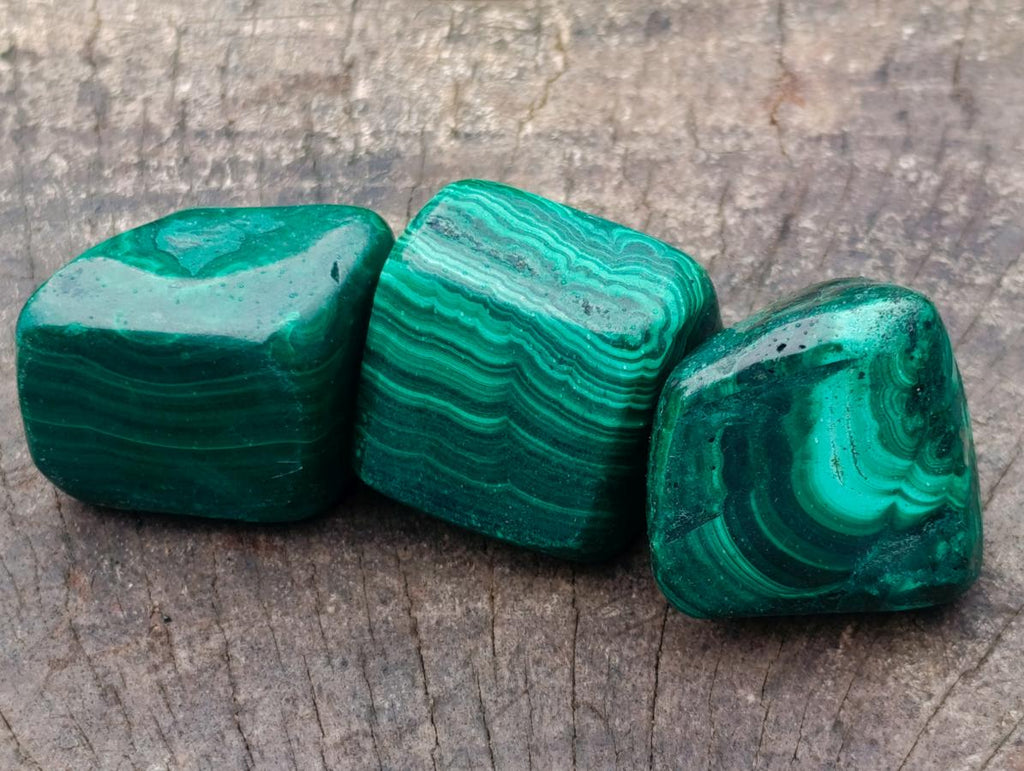 Polished Flower Banded Malachite Free Forms x 20 From Congo - Toprock Gemstones and Minerals 