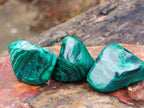 Polished Flower Banded Malachite Free Forms x 20 From Congo - Toprock Gemstones and Minerals 