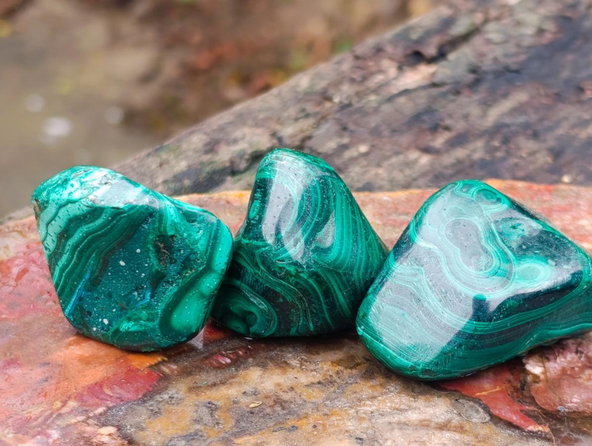 Polished Flower Banded Malachite Free Forms x 20 From Congo - Toprock Gemstones and Minerals 
