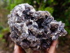Natural Smokey Fluorite Specimens with Associated Minerals x 2 From Erongo, Namibia - Toprock Gemstones and Minerals 