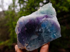 Polished One Side Watermelon Fluorite Slice x 6 From Uis, Namibia - Toprock Gemstones and Minerals 