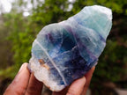 Polished One Side Watermelon Fluorite Slice x 6 From Uis, Namibia - Toprock Gemstones and Minerals 
