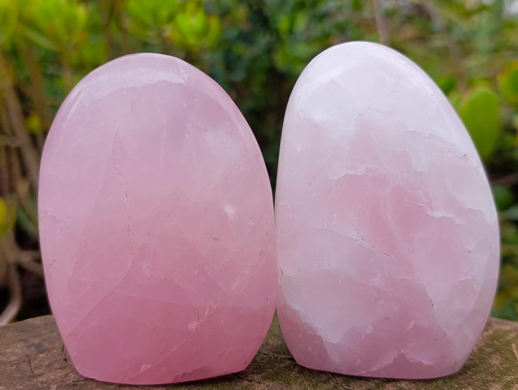 Polished Gemmy Rose Quartz Standing Display Pieces x 12 From Madagascar