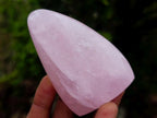 Polished Gemmy Rose Quartz Standing Display Pieces x 12 From Madagascar