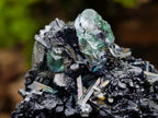 Natural Schorl Black Tourmaline Cluster Specimens x 12 From Erongo, Namibia