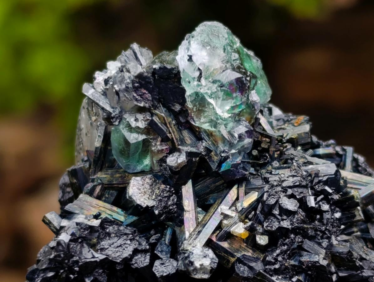 Natural Schorl Black Tourmaline Cluster Specimens x 12 From Erongo, Namibia
