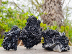 Natural Schorl Black Tourmaline Cluster Specimens x 12 From Erongo, Namibia