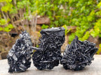 Natural Schorl Black Tourmaline Cluster Specimens x 12 From Erongo, Namibia