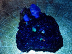Natural Schorl Black Tourmaline Cluster Specimens x 12 From Erongo, Namibia
