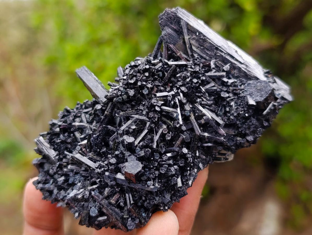 Natural Schorl Black Tourmaline Cluster Specimens x 12 From Erongo, Namibia