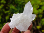 Natural Clear Quartz Crystals x 35 From Madagascar