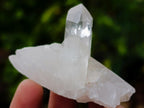 Natural Clear Quartz Crystals x 35 From Madagascar