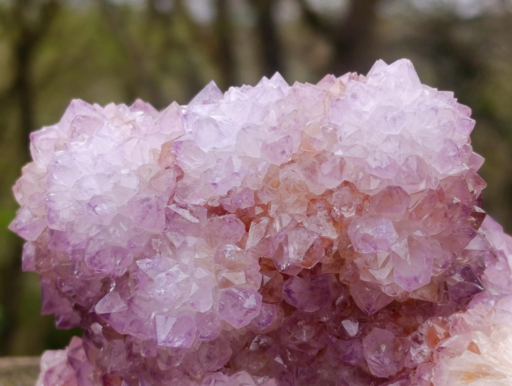 Natural Large Flower Spirit Ametrine Cluster x 1 From Boekenhouthoek, South Africa