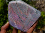 Polished Rare Purple Sunset Flash Labradorite Standing Display Pieces x 2 From Madagascar