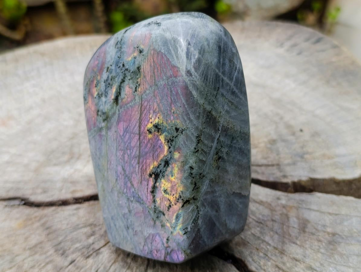 Polished Rare Purple Sunset Flash Labradorite Standing Display Pieces x 2 From Madagascar