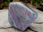Polished Rare Purple Sunset Flash Labradorite Standing Display Pieces x 2 From Madagascar