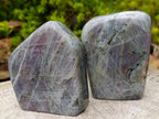 Polished Rare Purple Sunset Flash Labradorite Standing Display Pieces x 2 From Madagascar