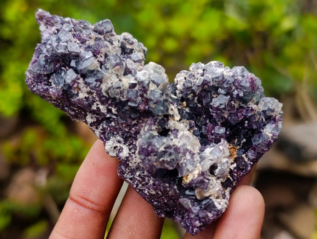 Natural Purple Cubic Fluorite Cluster Specimens x 32 From Erongo, Namibia