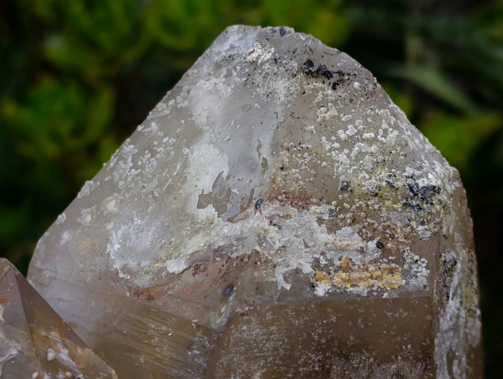 Natural Large Smokey Quartz Cluster with Hyalite Opal x 1 From Erongo, Namibia