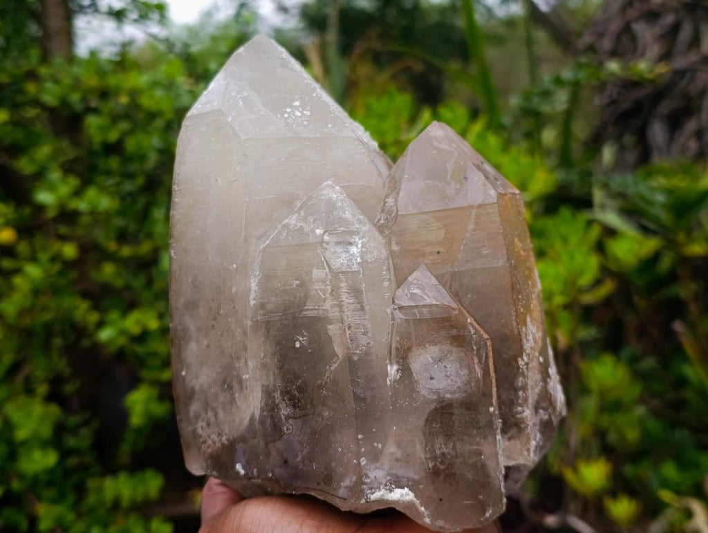 Natural Large Smokey Quartz Cluster with Hyalite Opal x 1 From Erongo, Namibia
