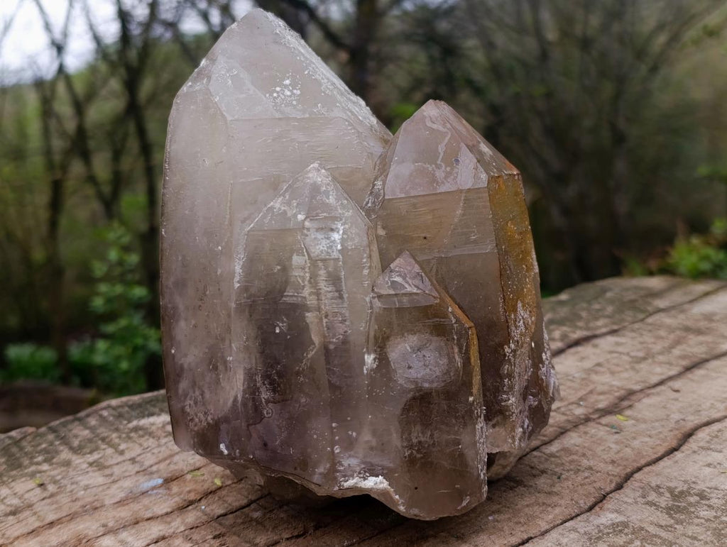 Natural Large Smokey Quartz Cluster with Hyalite Opal x 1 From Erongo, Namibia