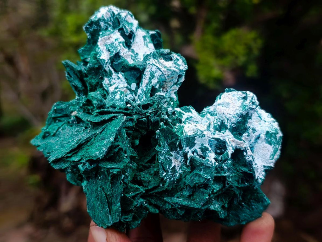 Natural Rare Bladed Malachite Pseudomorph Specimens with Associated Minerals x 2 From Kolwezi, Congo