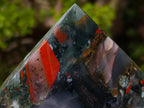 Polished Bloodstone Display Crystals x 3 From Swaziland