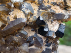 Natural XL Smokey Quartz Cluster with Associated Minerals x 1 From Erongo, Namibia