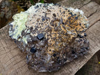 Natural XL Smokey Quartz Cluster with Associated Minerals x 1 From Erongo, Namibia
