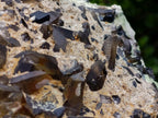 Natural XL Smokey Quartz Cluster with Associated Minerals x 1 From Erongo, Namibia