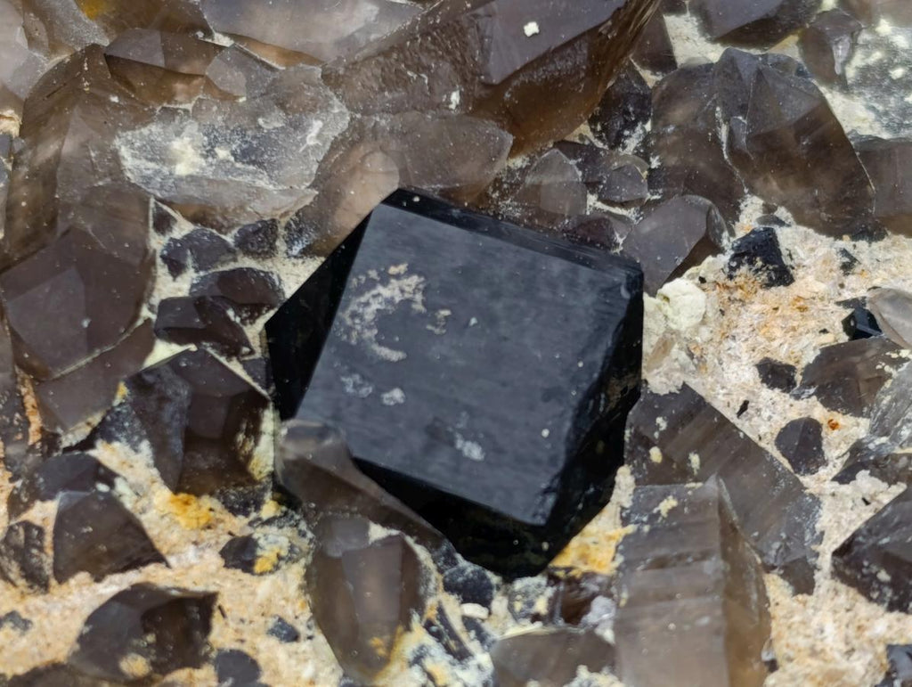 Natural XL Smokey Quartz Cluster with Associated Minerals x 1 From Erongo, Namibia