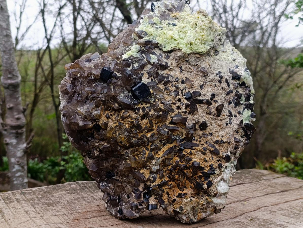 Natural XL Smokey Quartz Cluster with Associated Minerals x 1 From Erongo, Namibia