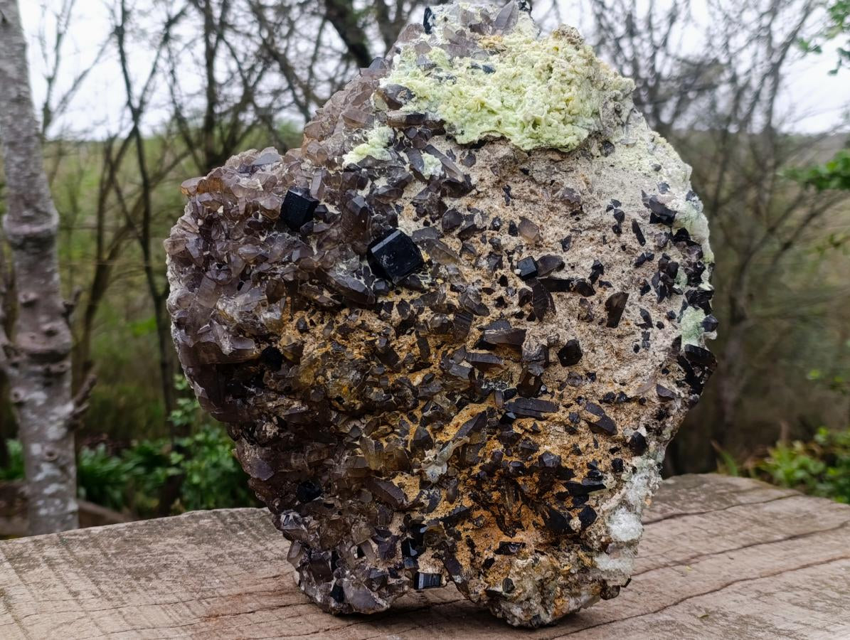 Natural XL Smokey Quartz Cluster with Associated Minerals x 1 From Erongo, Namibia