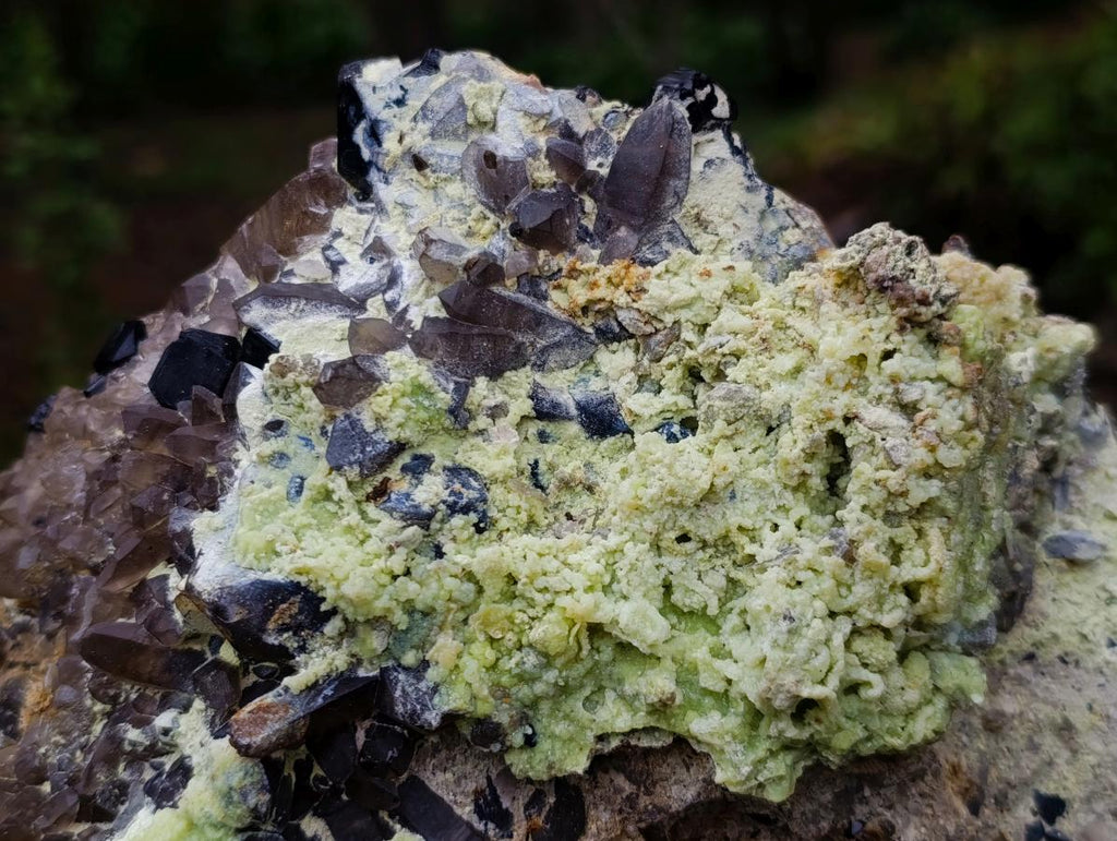 Natural XL Smokey Quartz Cluster with Associated Minerals x 1 From Erongo, Namibia