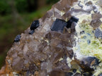 Natural XL Smokey Quartz Cluster with Associated Minerals x 1 From Erongo, Namibia