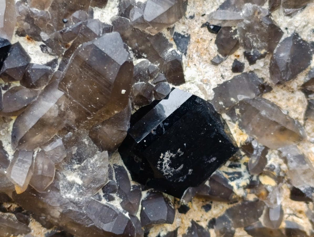 Natural XL Smokey Quartz Cluster with Associated Minerals x 1 From Erongo, Namibia