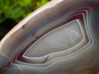 Polished and Natural Large Shashe River Agate Standing Display Piece x 1 From Shashe River, Zimbabwe