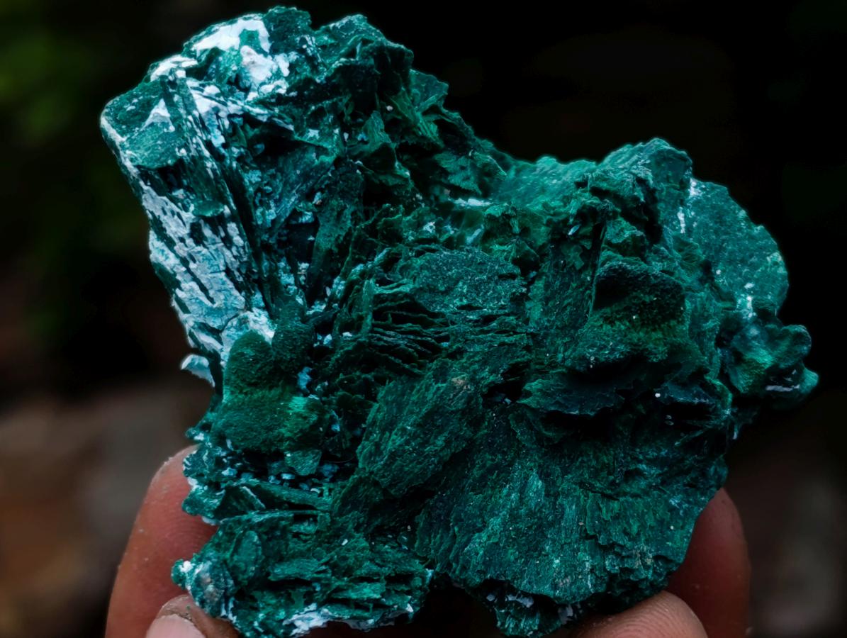 Natural Rare Bladed Malachite Pseudomorph Specimens with Associated Minerals x 6 From Kolwezi, Congo