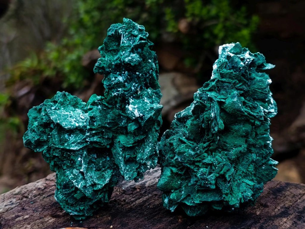 Natural Rare Bladed Malachite Pseudomorph Specimens with Associated Minerals x 6 From Kolwezi, Congo