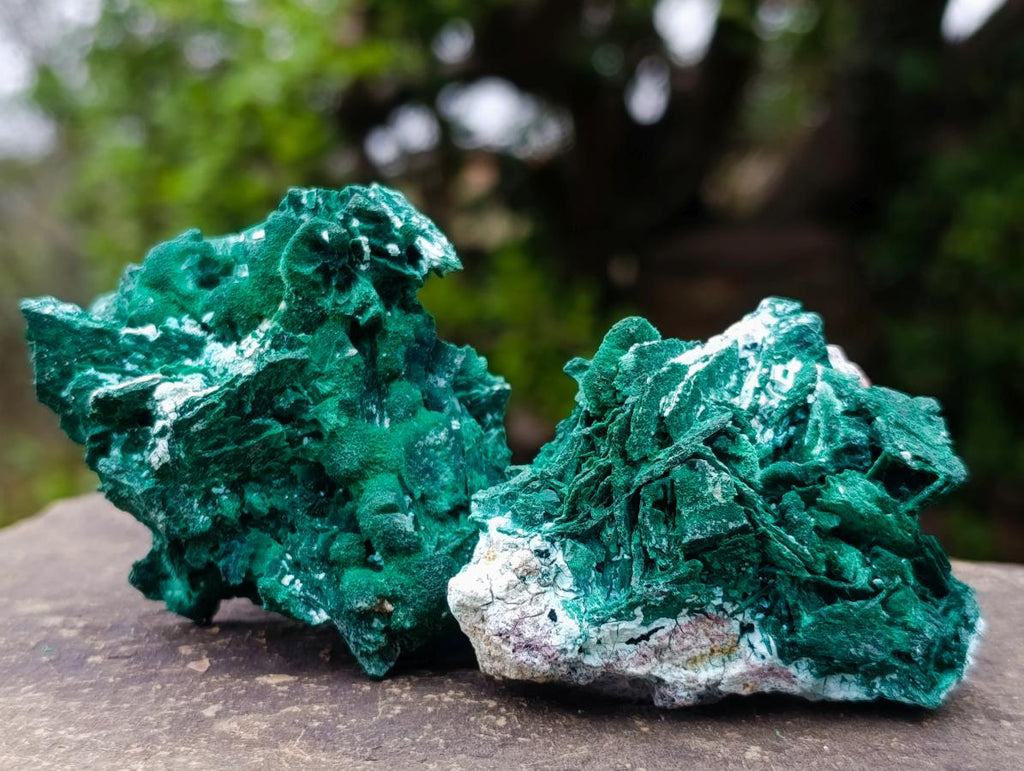 Natural Rare Bladed Malachite Pseudomorph Specimens with Associated Minerals x 6 From Kolwezi, Congo