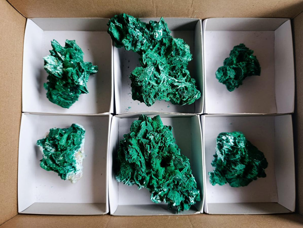 Natural Rare Bladed Malachite Pseudomorph Specimens with Associated Minerals x 6 From Kolwezi, Congo