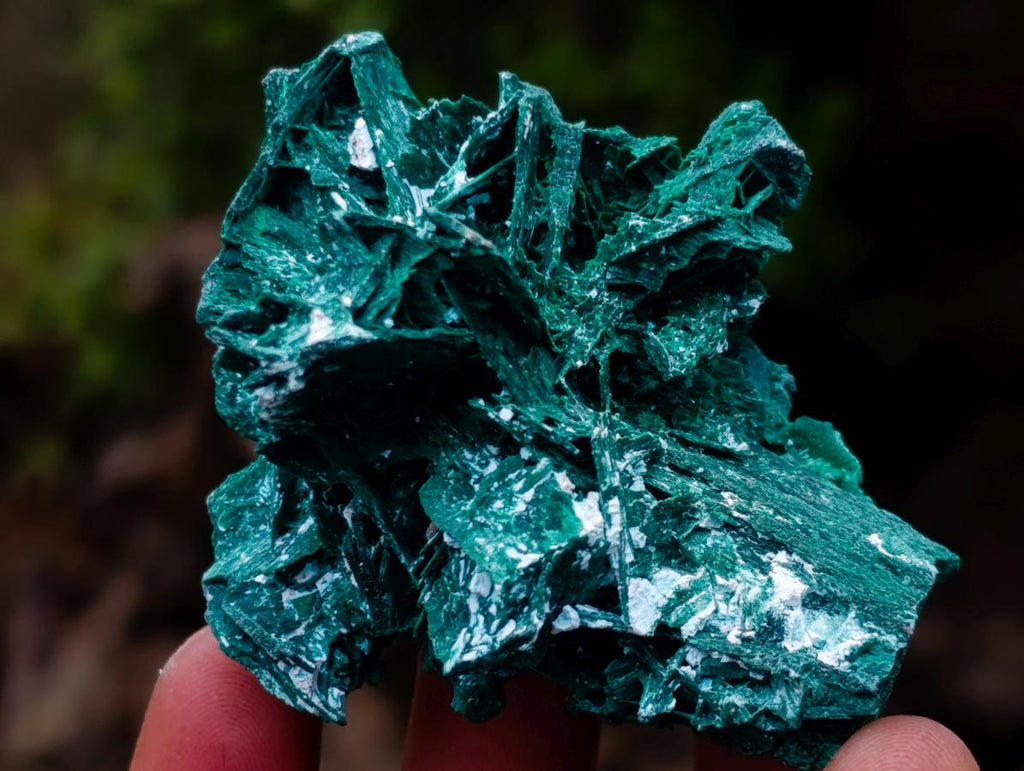 Natural Rare Bladed Malachite Pseudomorph Specimens with Associated Minerals x 6 From Kolwezi, Congo