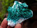 Natural Rare Bladed Malachite Pseudomorph Specimens with Associated Minerals x 6 From Kolwezi, Congo