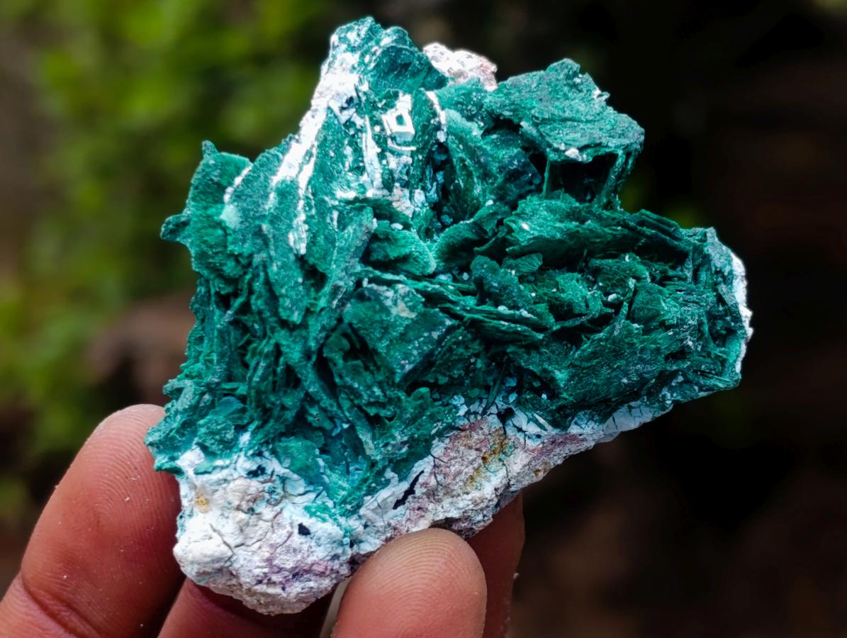 Natural Rare Bladed Malachite Pseudomorph Specimens with Associated Minerals x 6 From Kolwezi, Congo