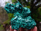 Natural Rare Bladed Malachite Pseudomorph Specimens with Associated Minerals x 6 From Kolwezi, Congo
